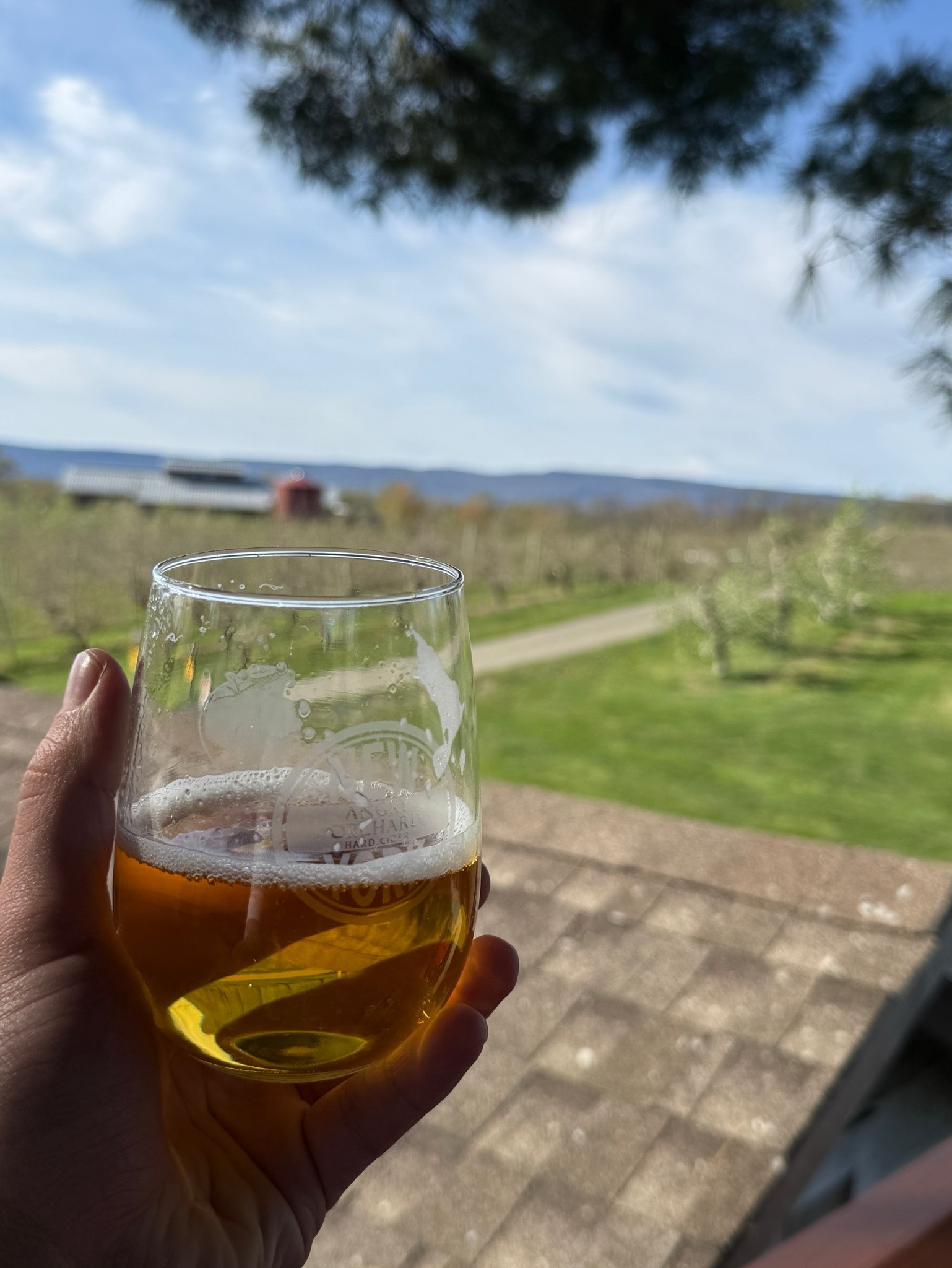 Angry Orchard Crisp Cider, Naked City Brewing
