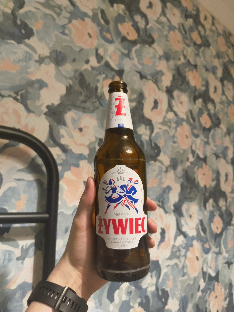 Żywiec, Grupa Żywiec (Heineken)