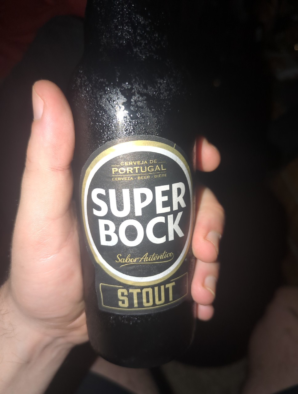 Super Bock Stout, Super Bock Group