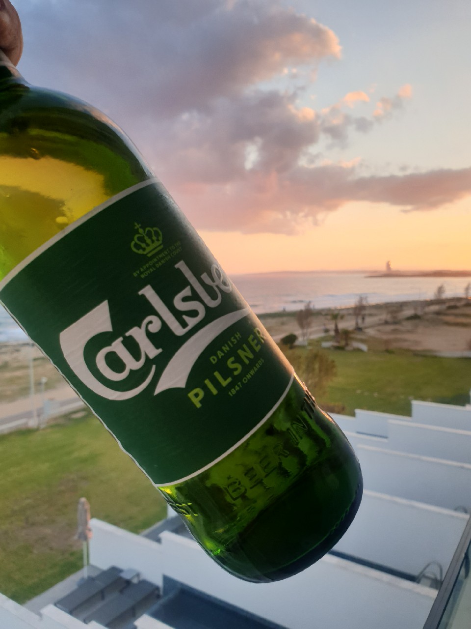 Carlsberg, Carlsberg Group