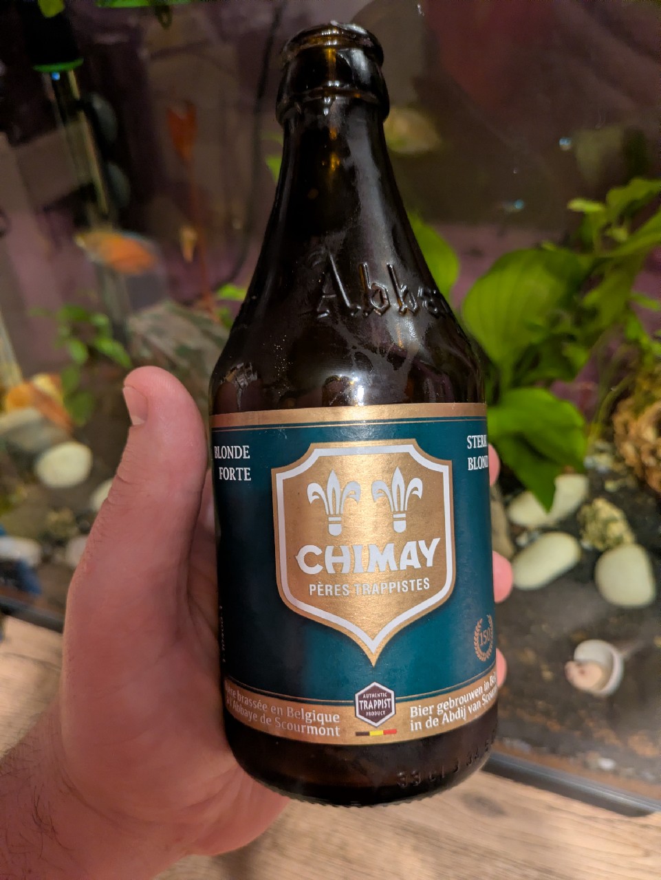 Chimay Blonde Forte | Strong Blond | 150 | Verte | Green, Belgium