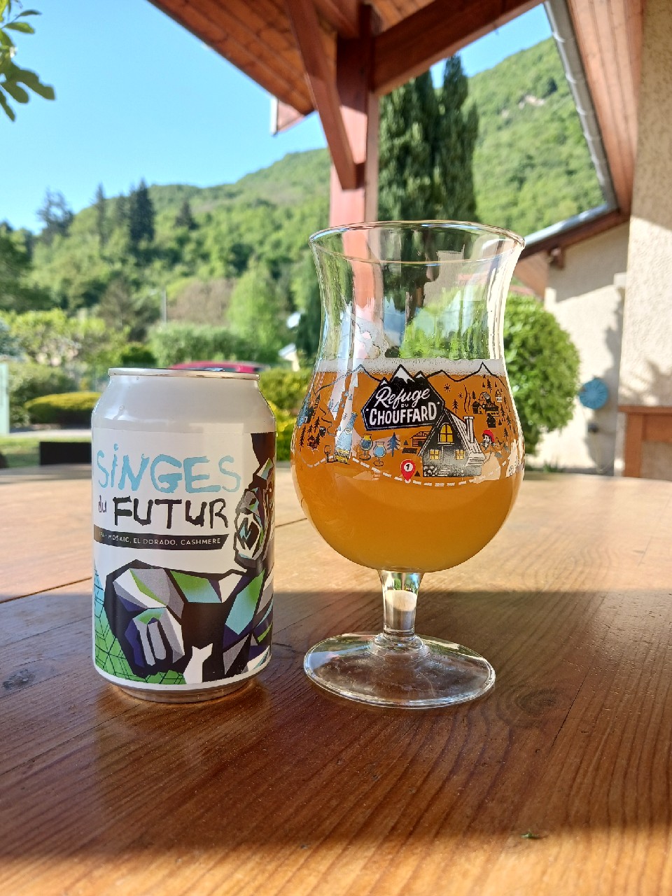 Singes Du Futur, France