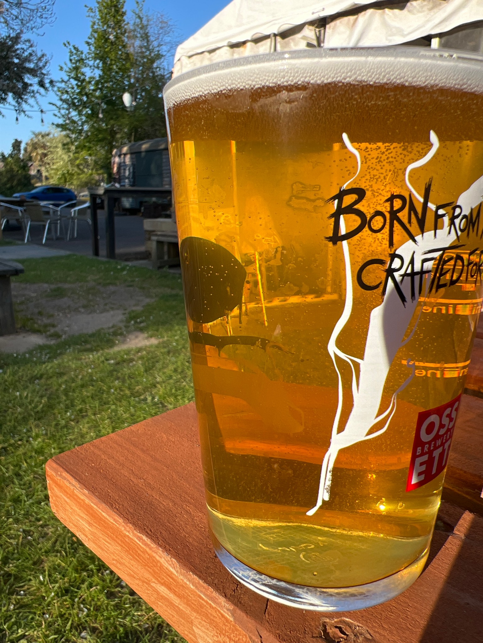 Sputnik, North Brewing Co.