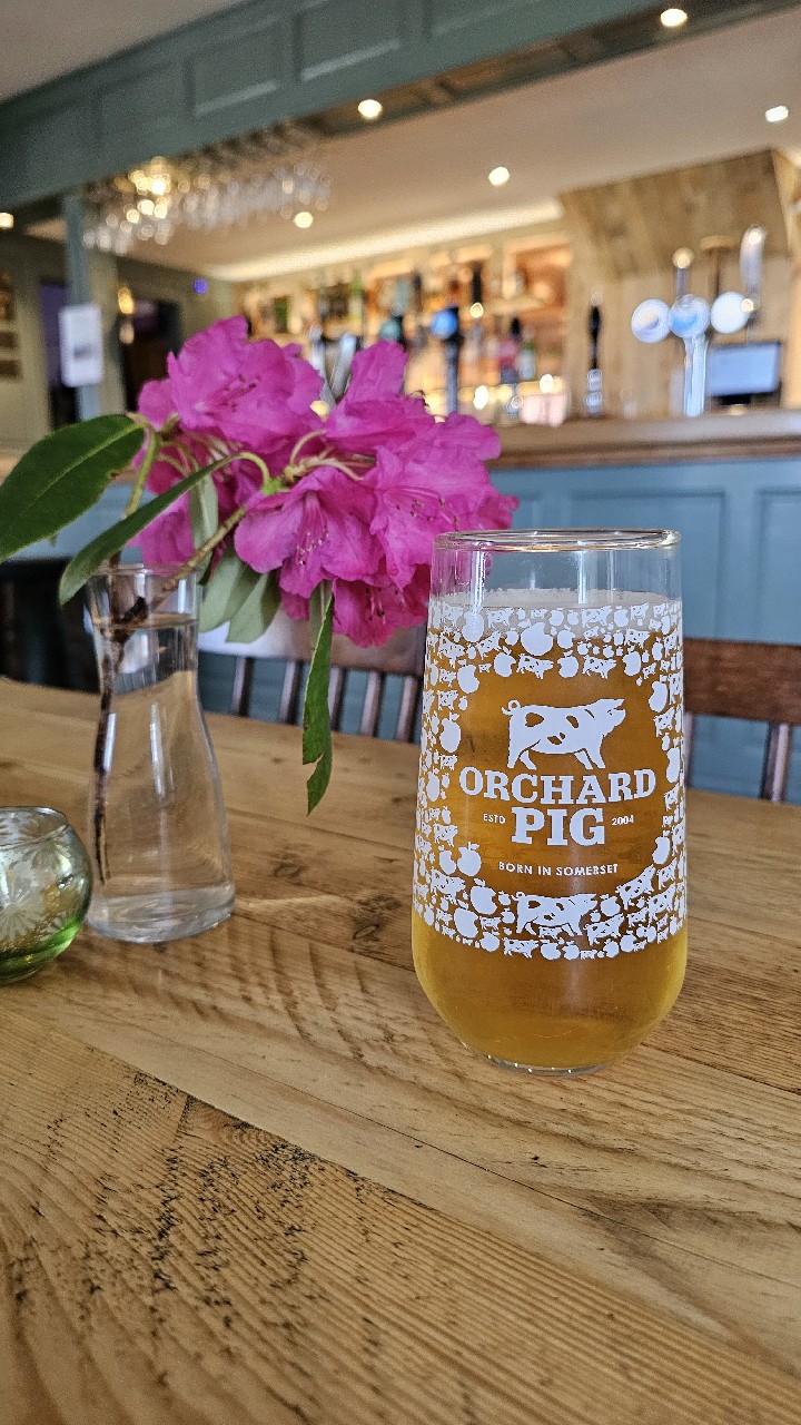 Orchard Pig Reveller, England
