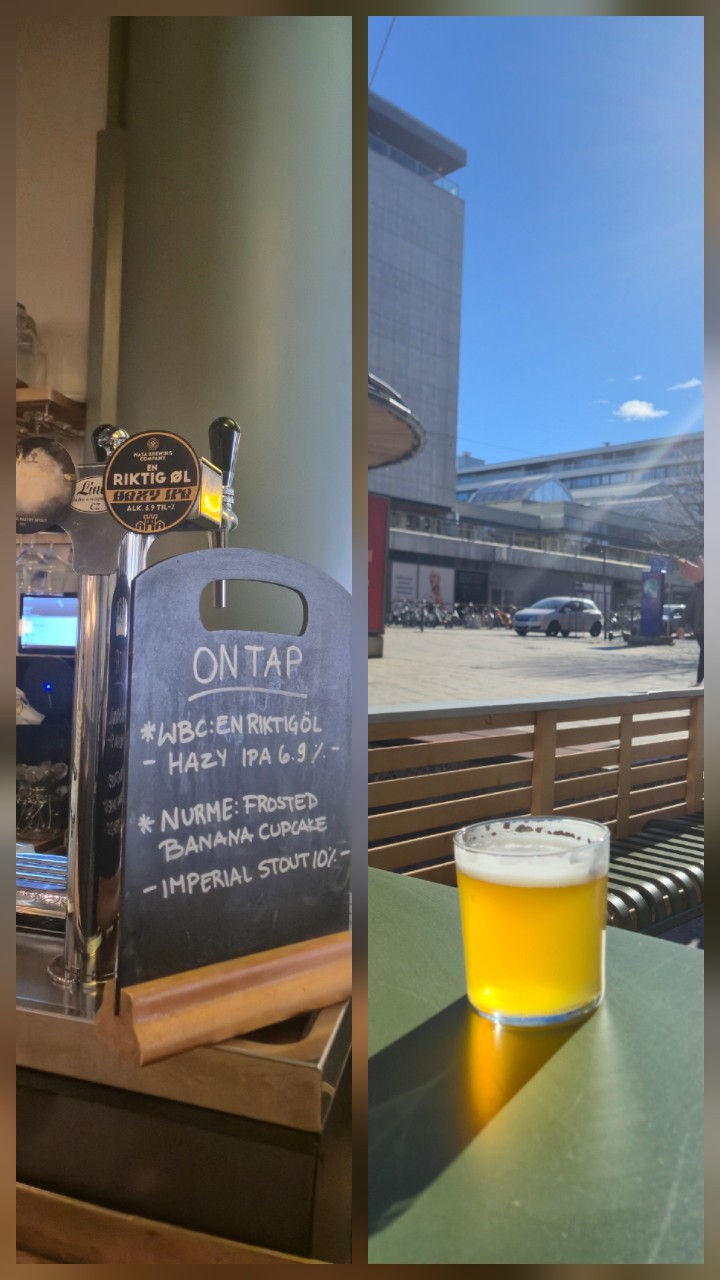 En Riktig Øl, Wasa Brewing Company