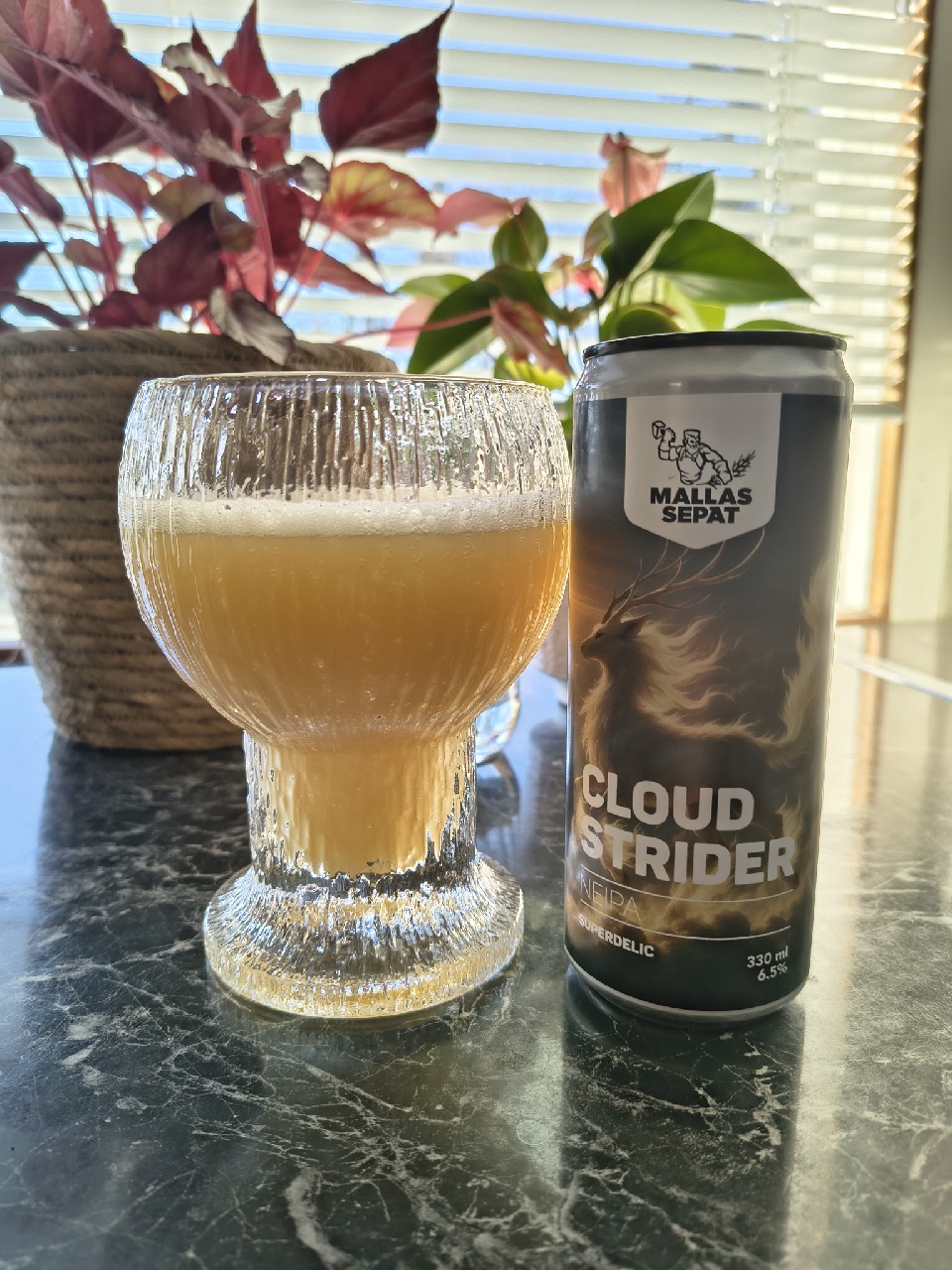 Cloud Strider, Finland