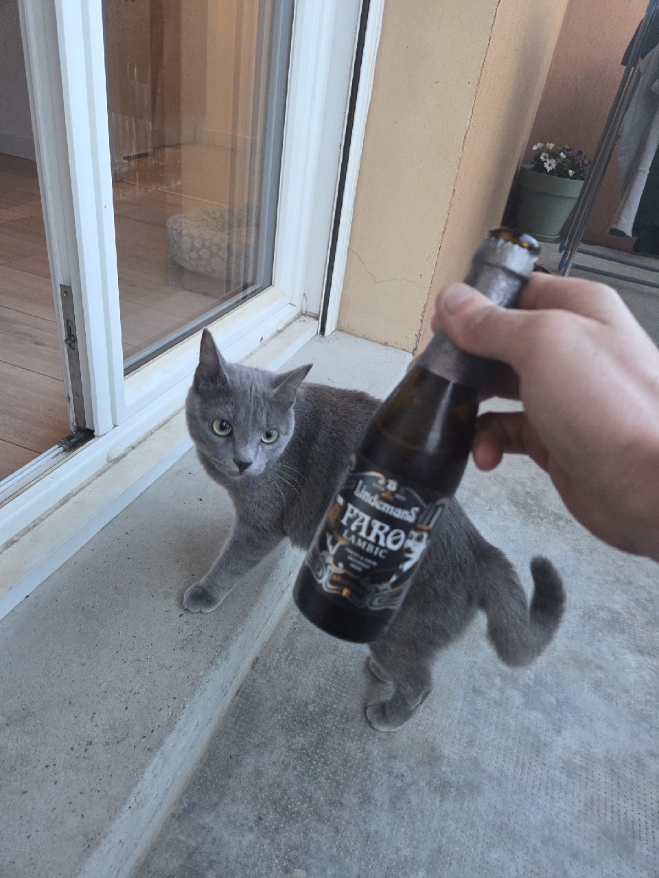 Lindemans Faro, Brouwerij Lindemans