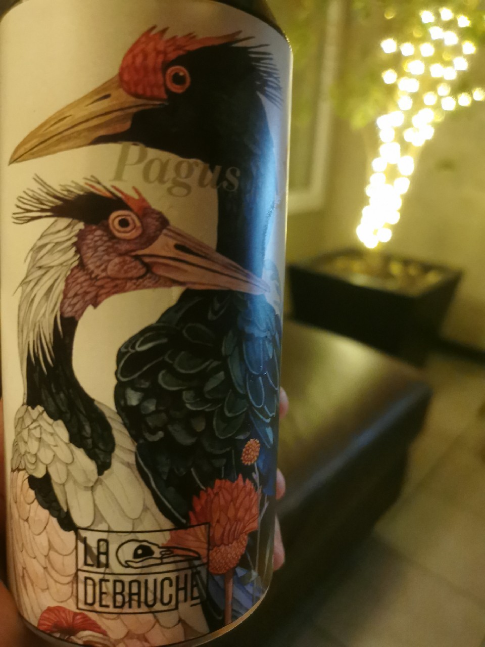 Pagus, La Débauche