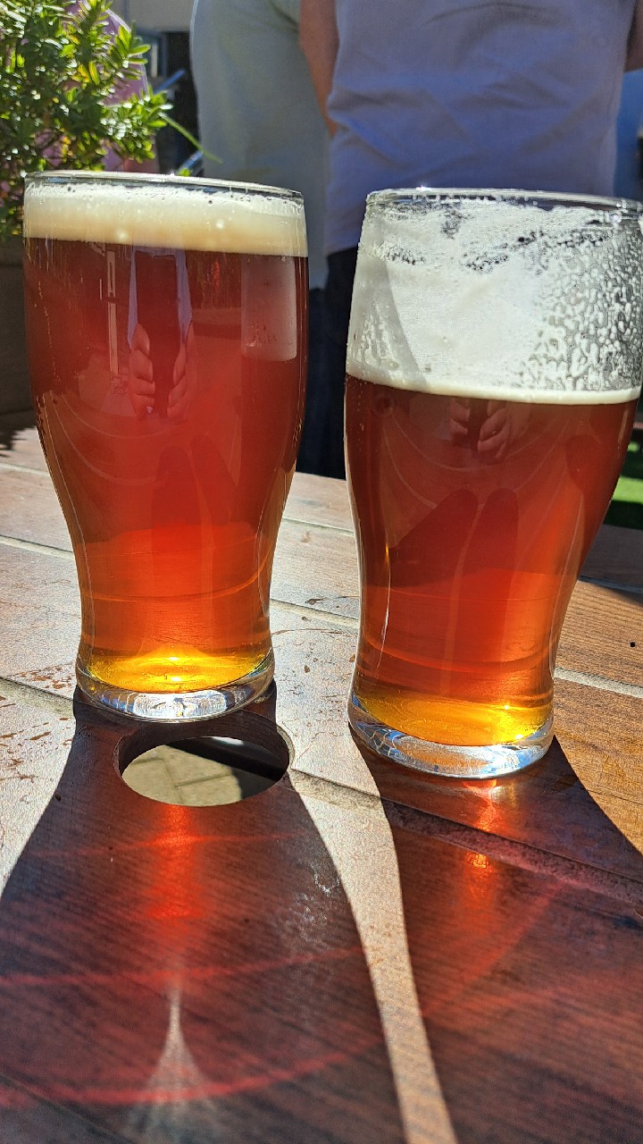 Blueberry Classic Bitter, The Coach House Brewing Co