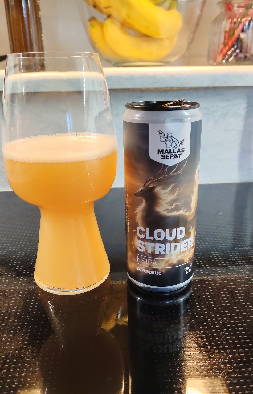 Cloud Strider, Mallassepät