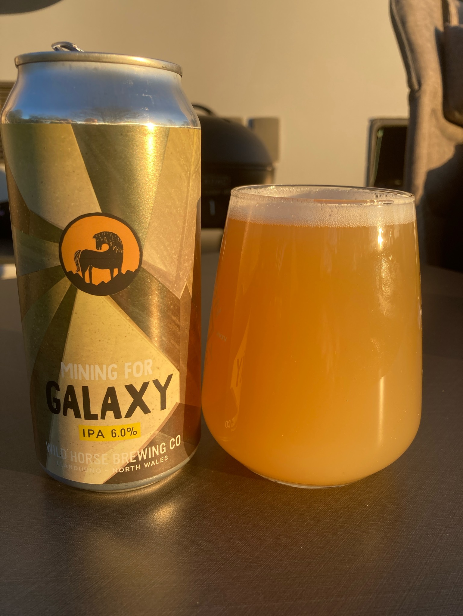 Mining for galaxy, Wild Horse Brewing