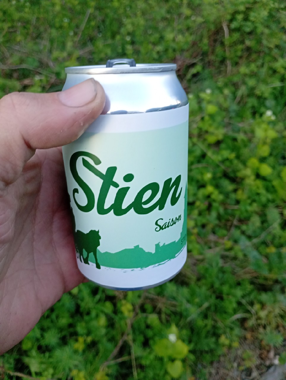 Stien Saison, Belgium