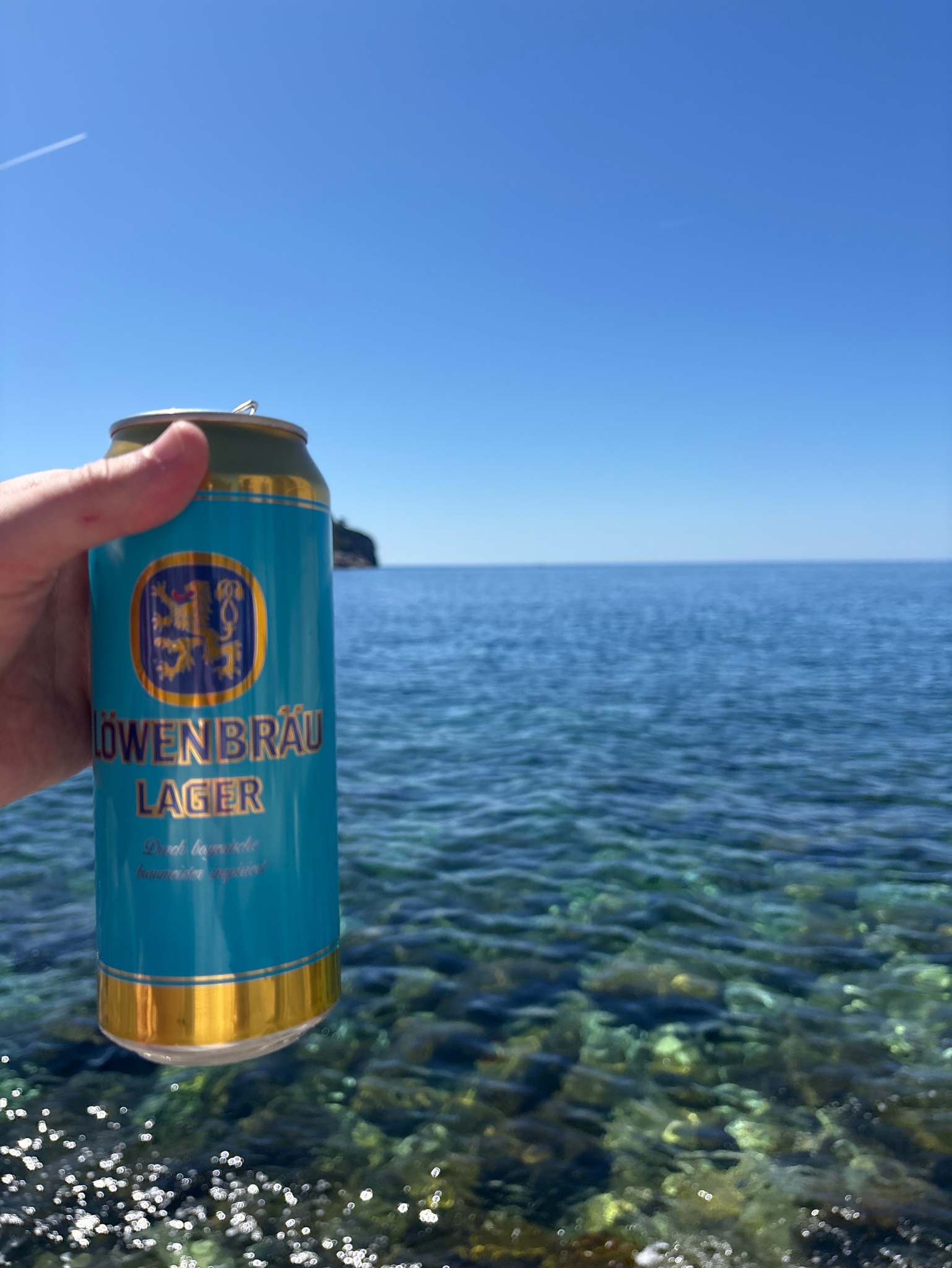 Löwenbräu Lager, Spaten-Franziskaner-Löwenbräu Gruppe (AB InBev)