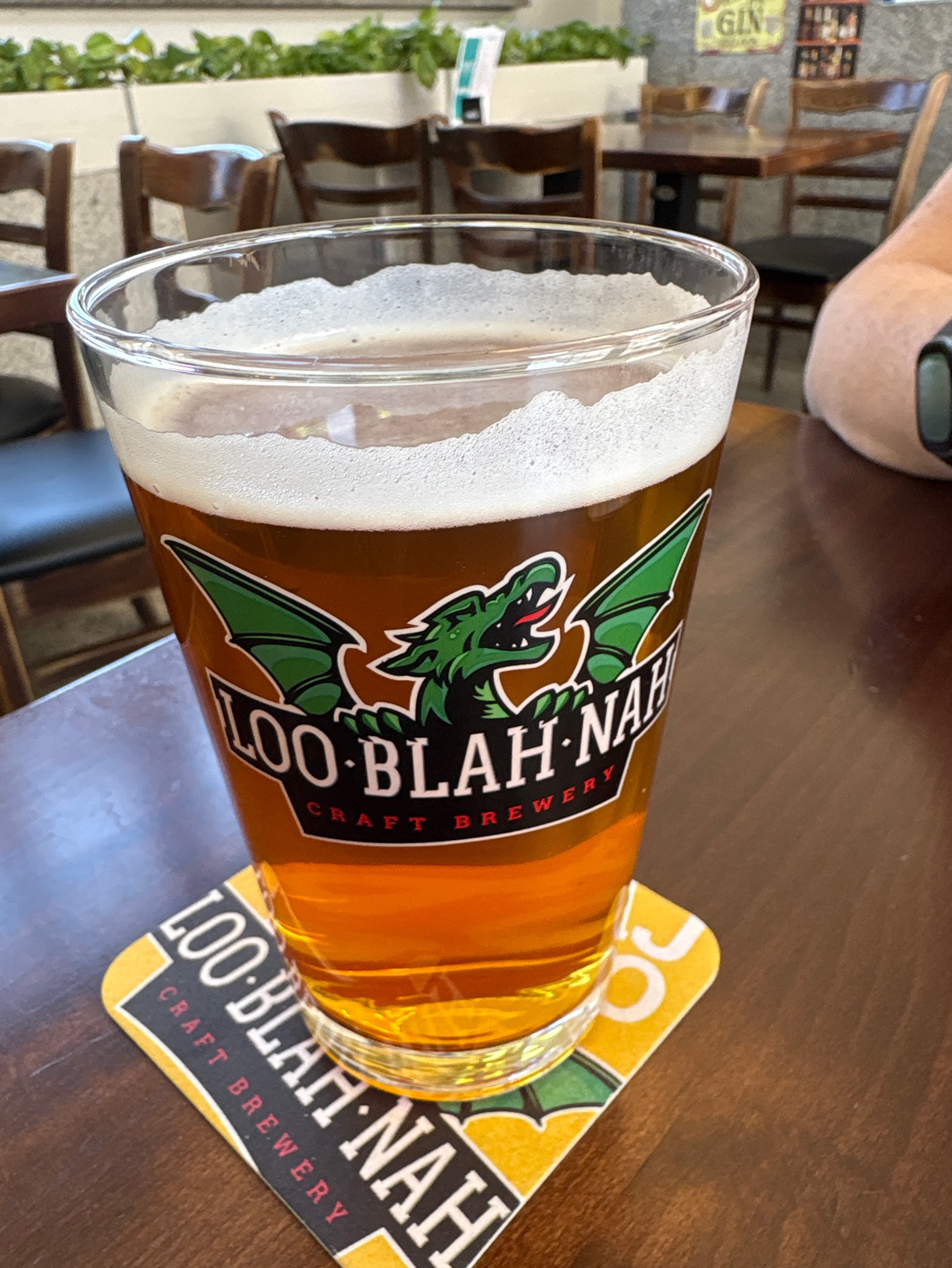 Ipa with spruce and pine tips, Pivovarna Loo-Blah-Nah