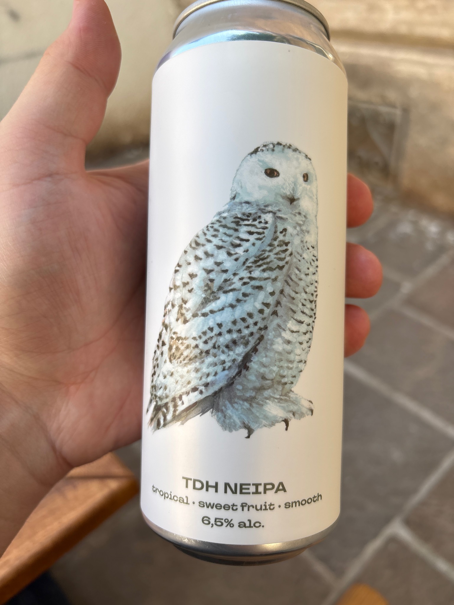 Snowy owl, Austria