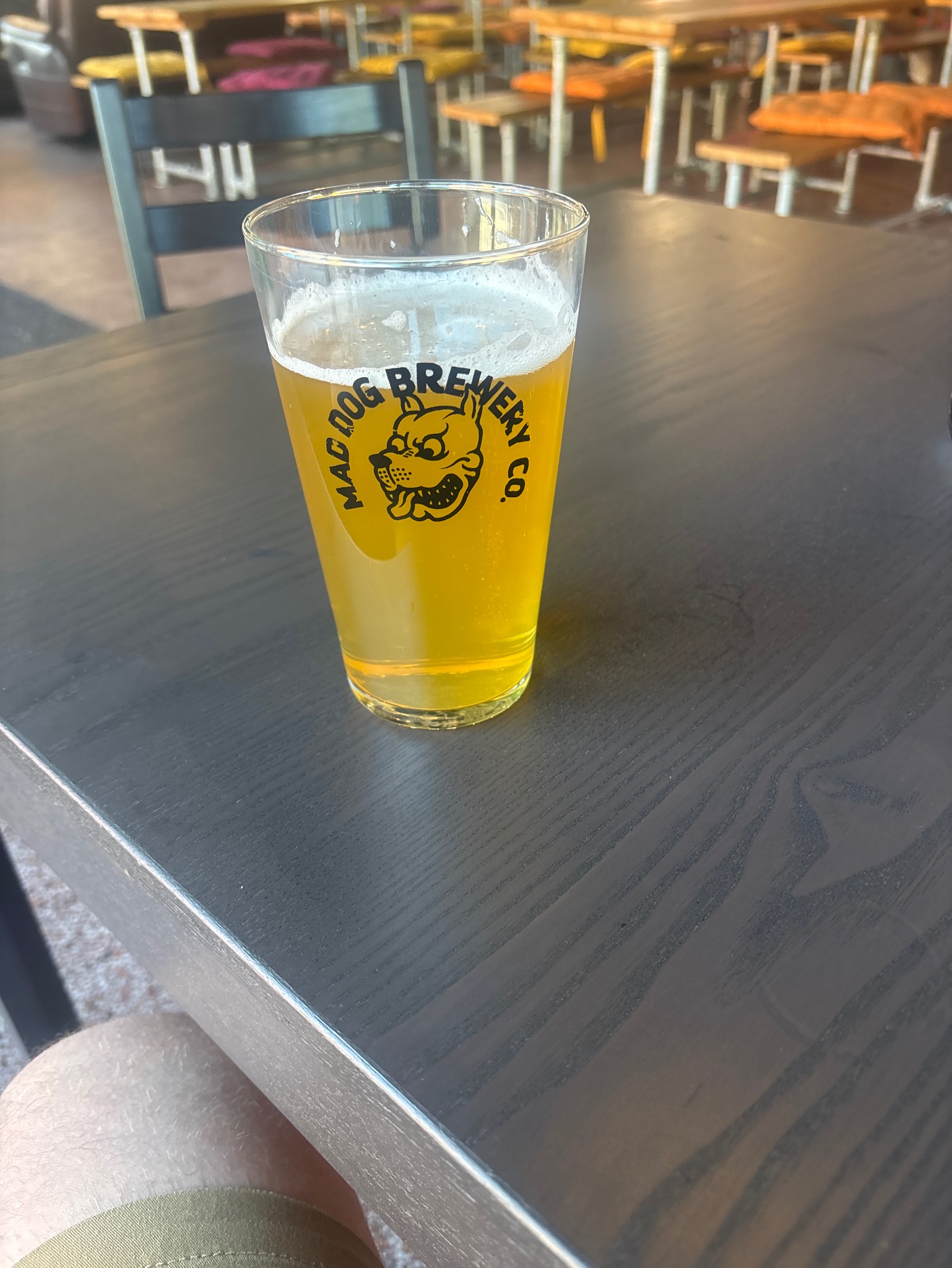 Mad dog born sippy, Mad Dog Brewing Co.