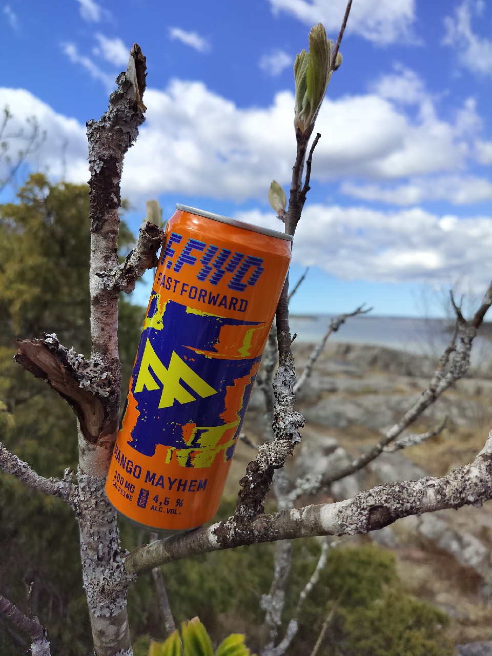 F.FWD Fast Forward Mango Mayhem, Anora Group