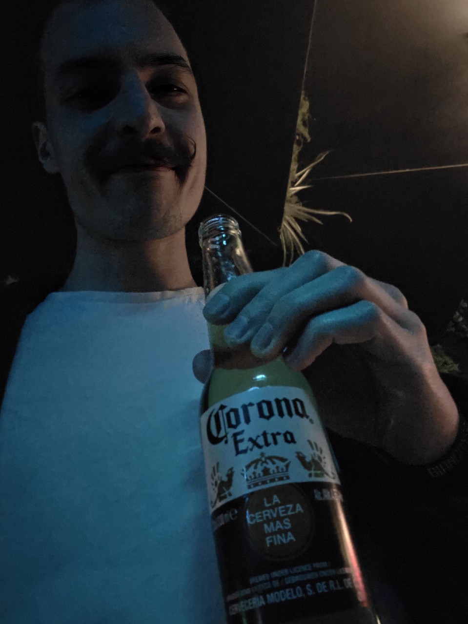 Corona Extra, Grupo Modelo (ABInBev)