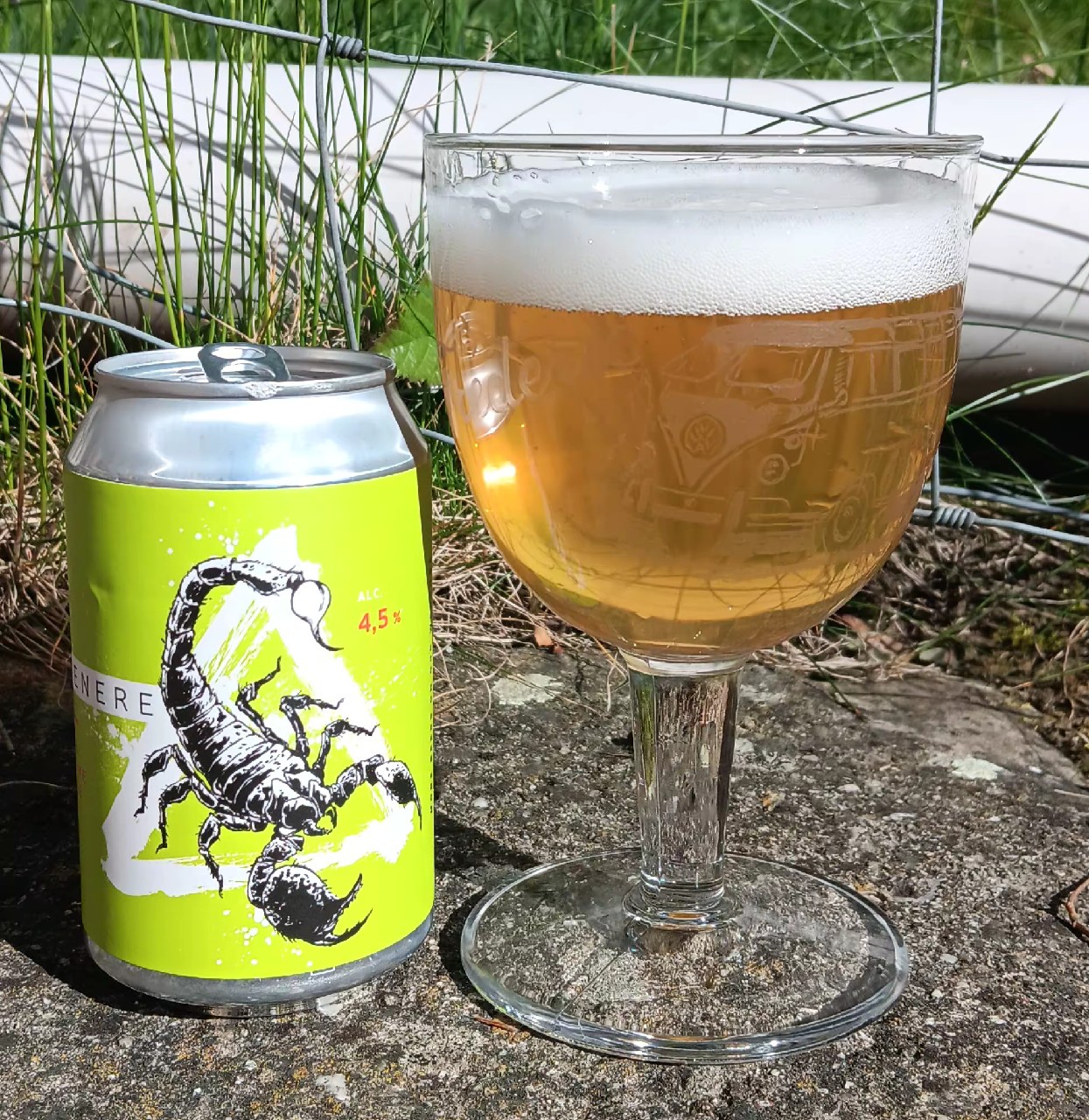 Venere, La Source Beer Co.