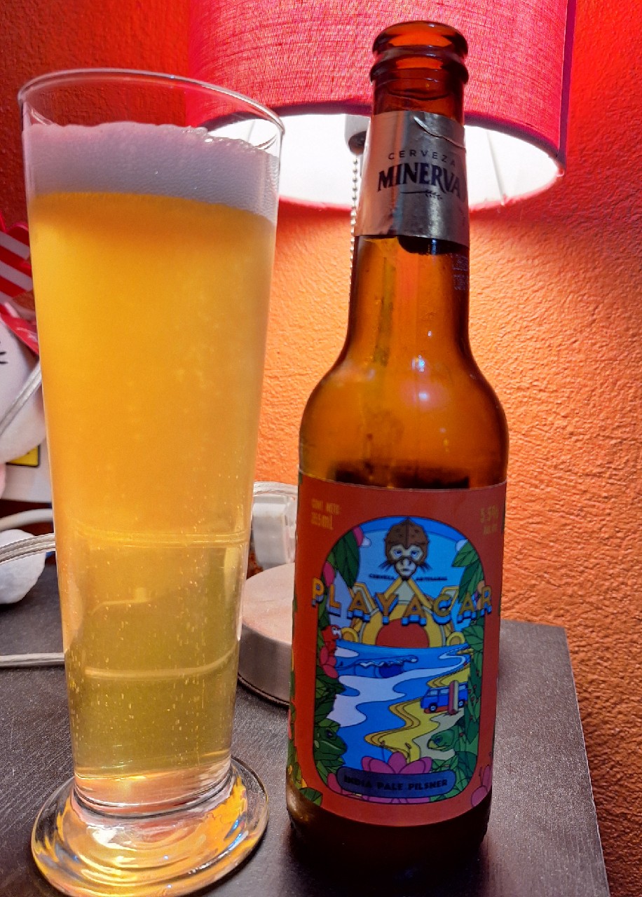 minerva playacar, Minerva