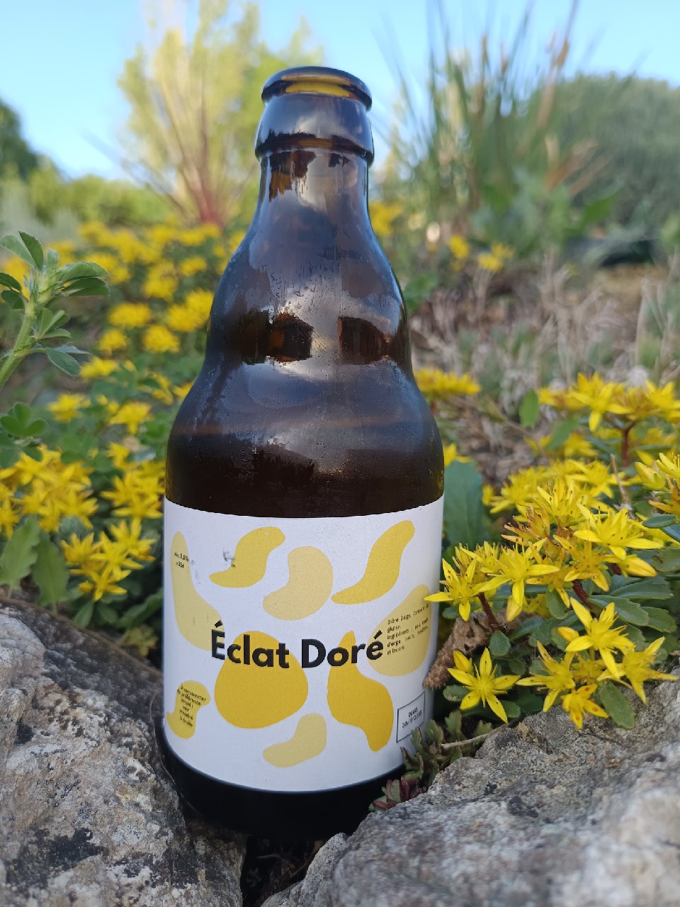 Éclat Doré, France