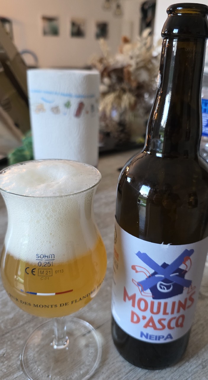 Moulins D'Ascq Neipa, France