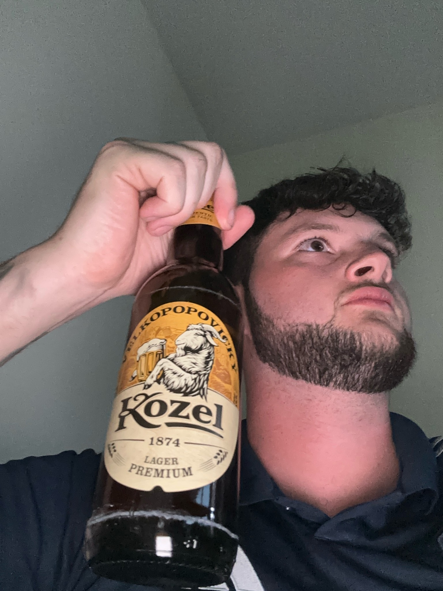 Kozel Premium Lager / Kozel 11°, Czech Republic