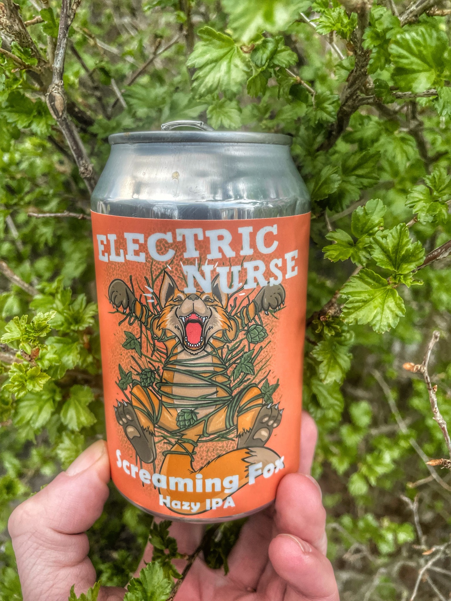 Screaming fox, Electric Nurse
