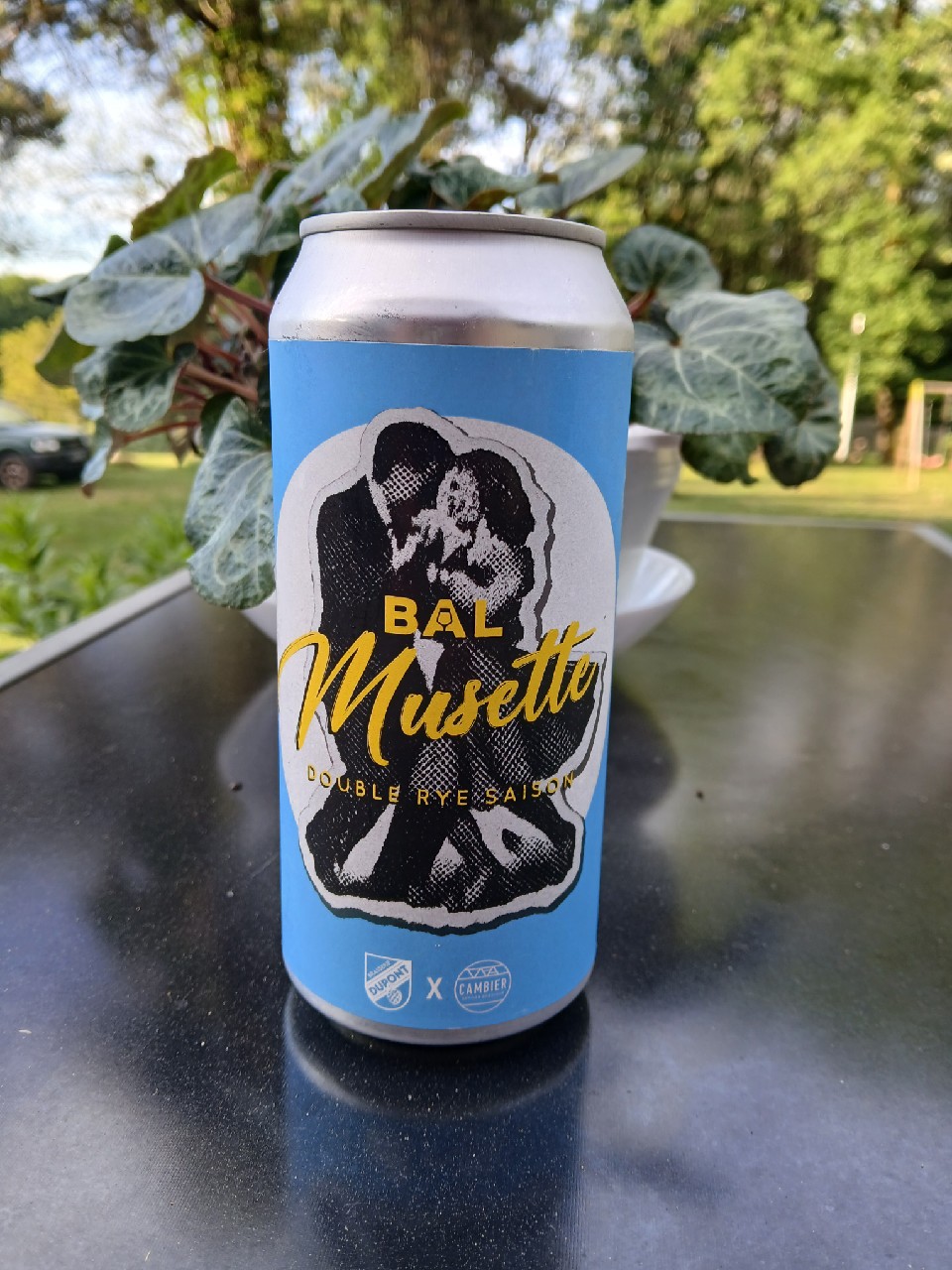 BAL Musette, Belgium