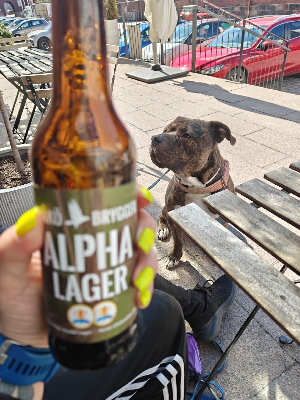 Alpha Lager, Finland
