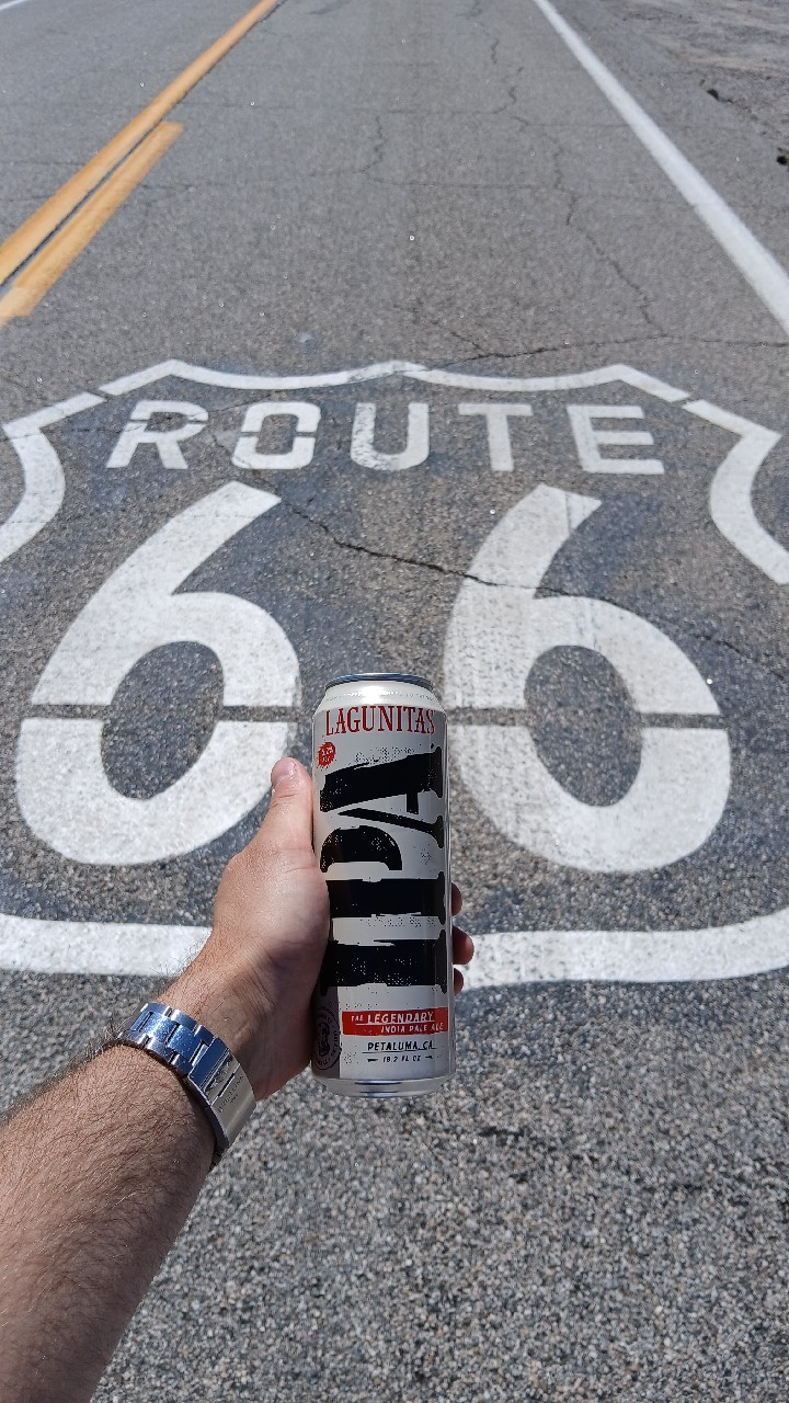 Lagunitas IPA, United States