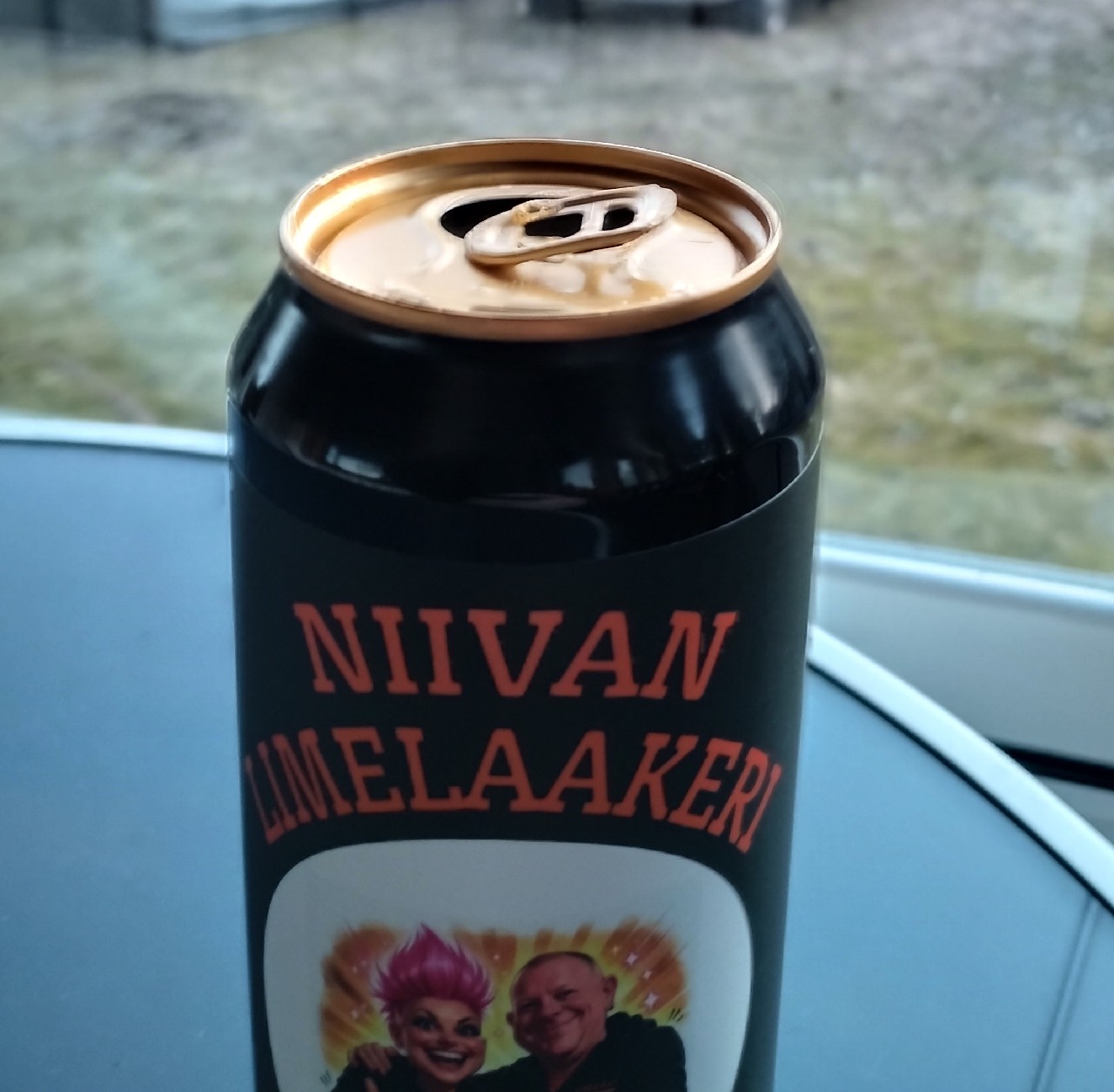 Niivan Limelaakeri, Finland
