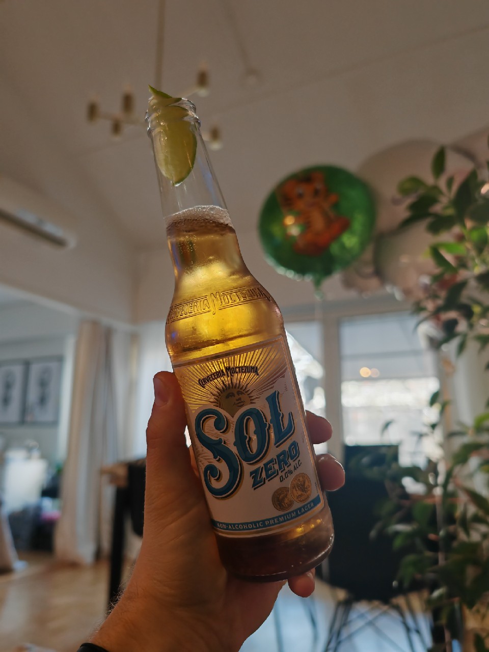 Sol Zero, Mexico