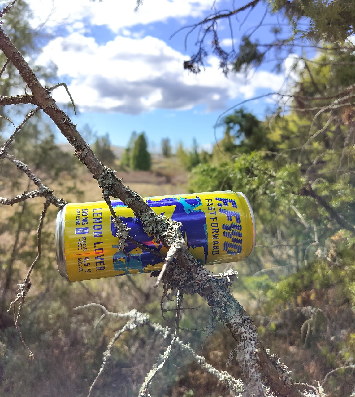 F.FWD Fast Forward Lemon Lover, Finland