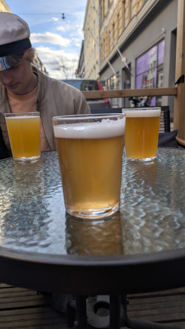 Paljas Saari Leipzig Gose, Finland