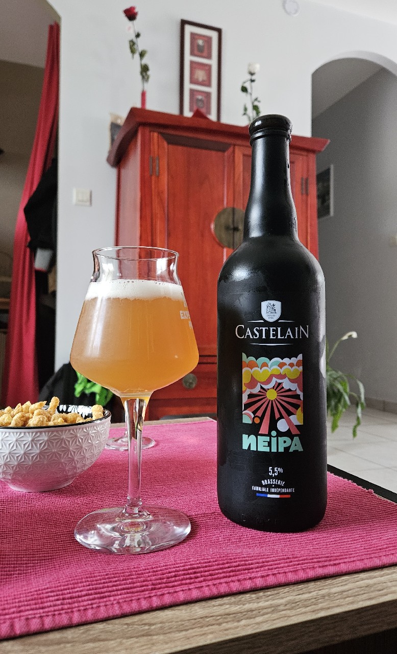 Castelain NEIPA, France