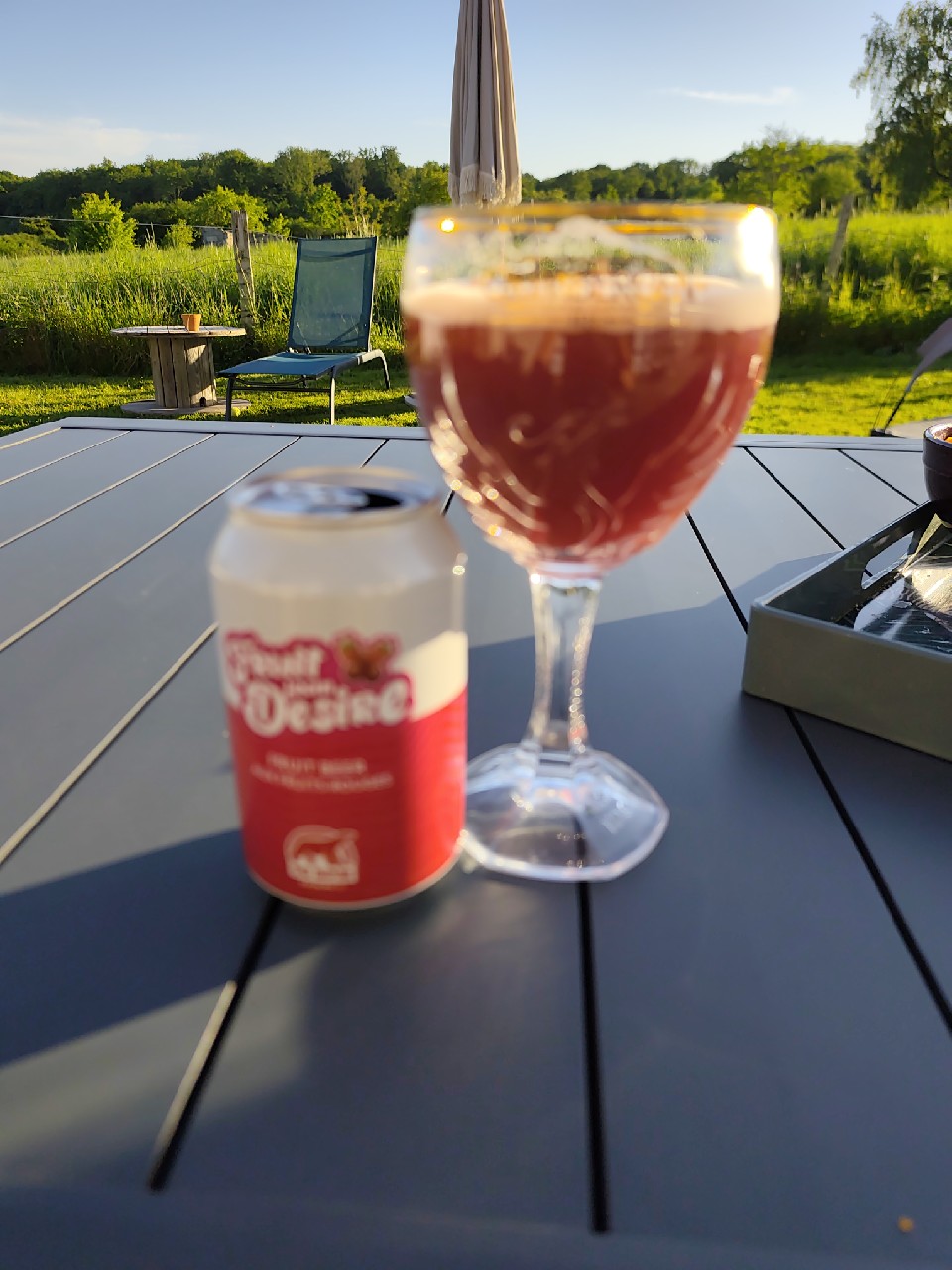Fruit From Desire, 90 BPM Brewing Co.