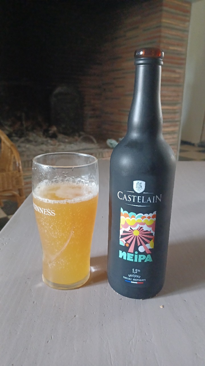 Castelain NEIPA, France