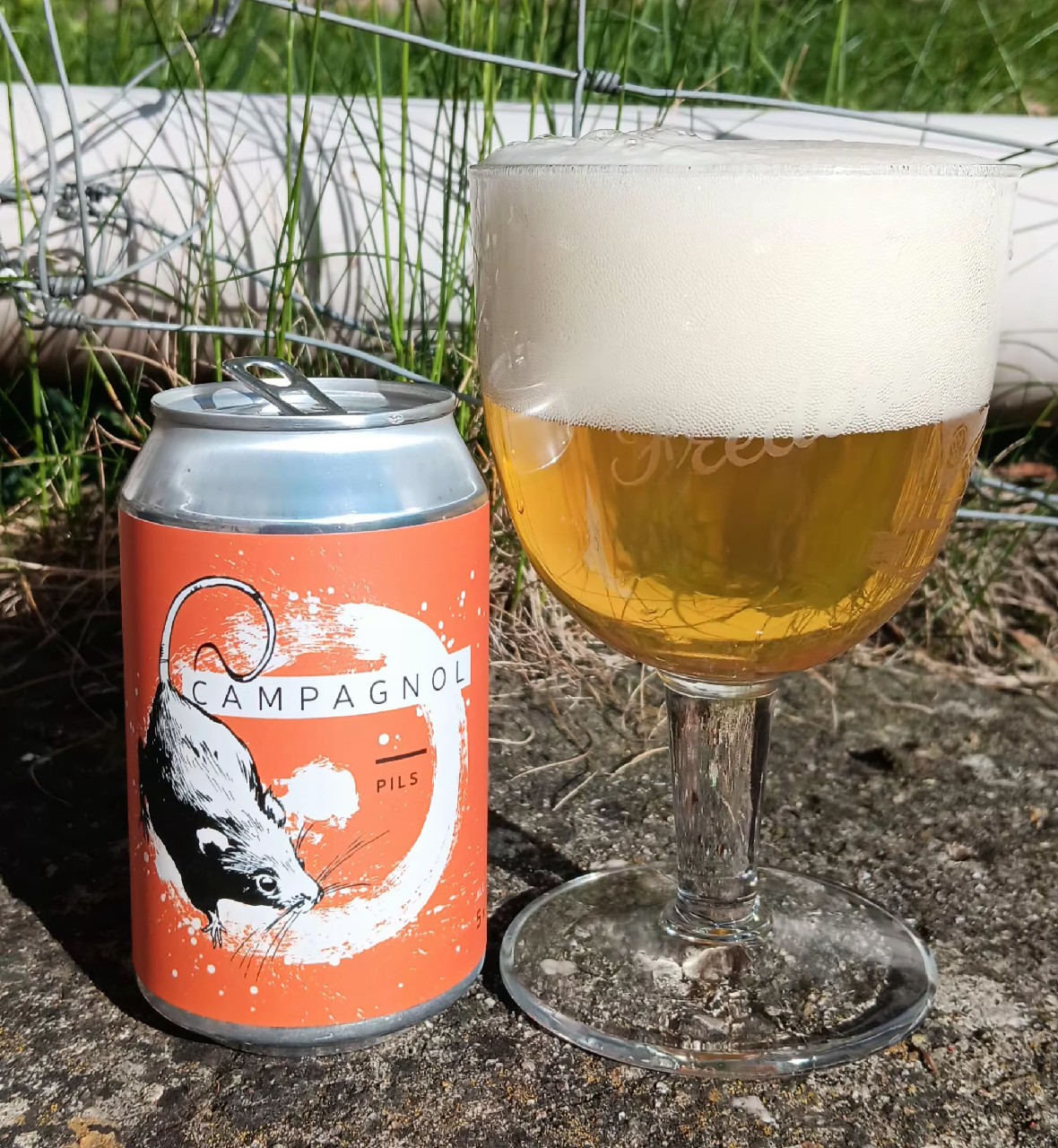 Campagnol, La Source Beer Co.