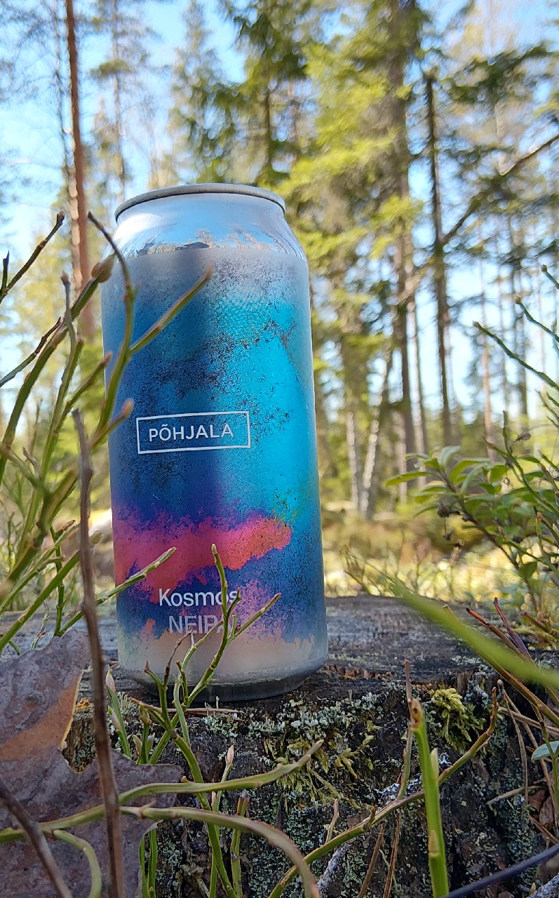 Kosmos, Estonia