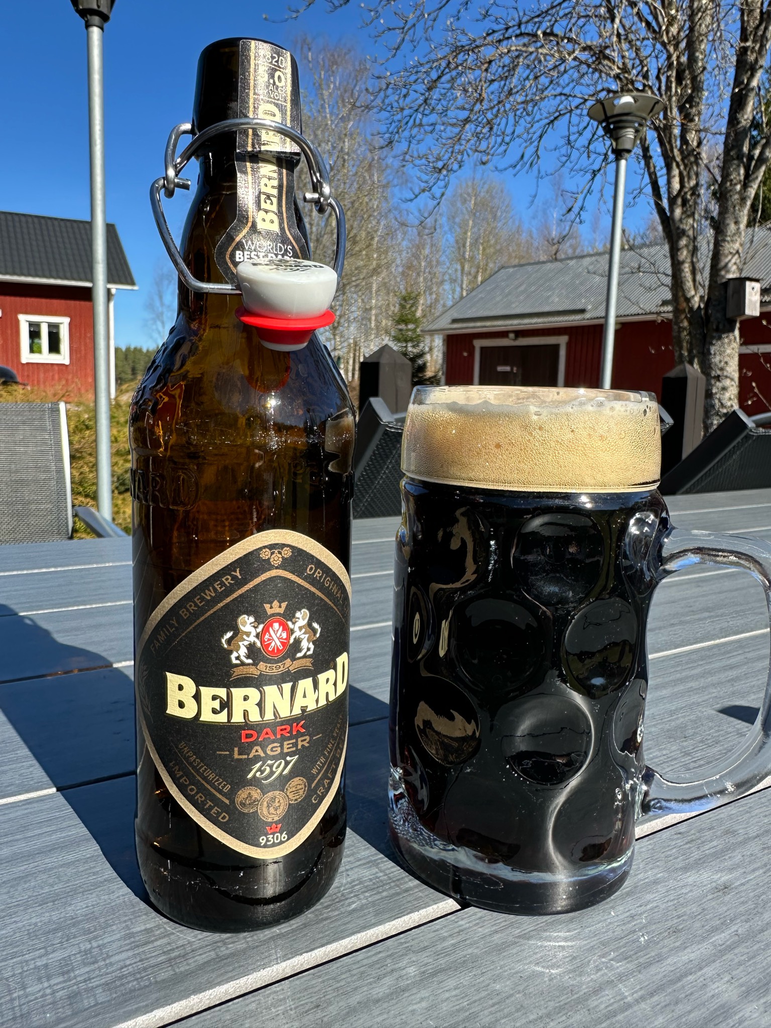 Dark Lager / Černý Ležák 12°, Czech Republic