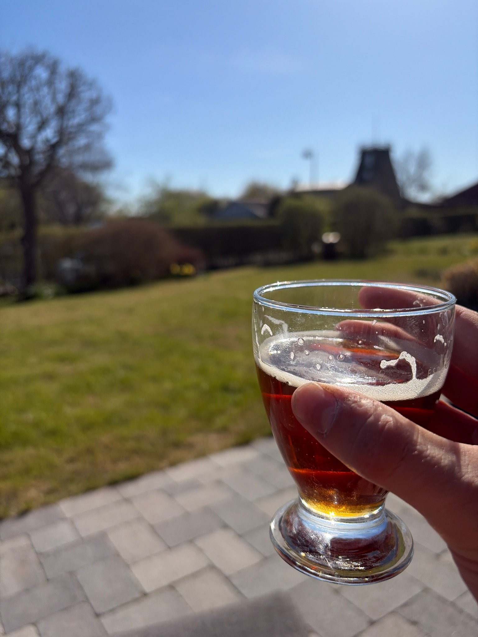 Willemoes Belgisk Ale, Denmark