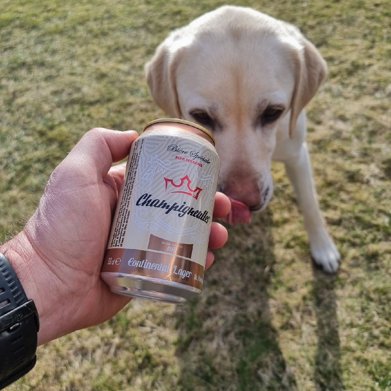 Continental Lager, France