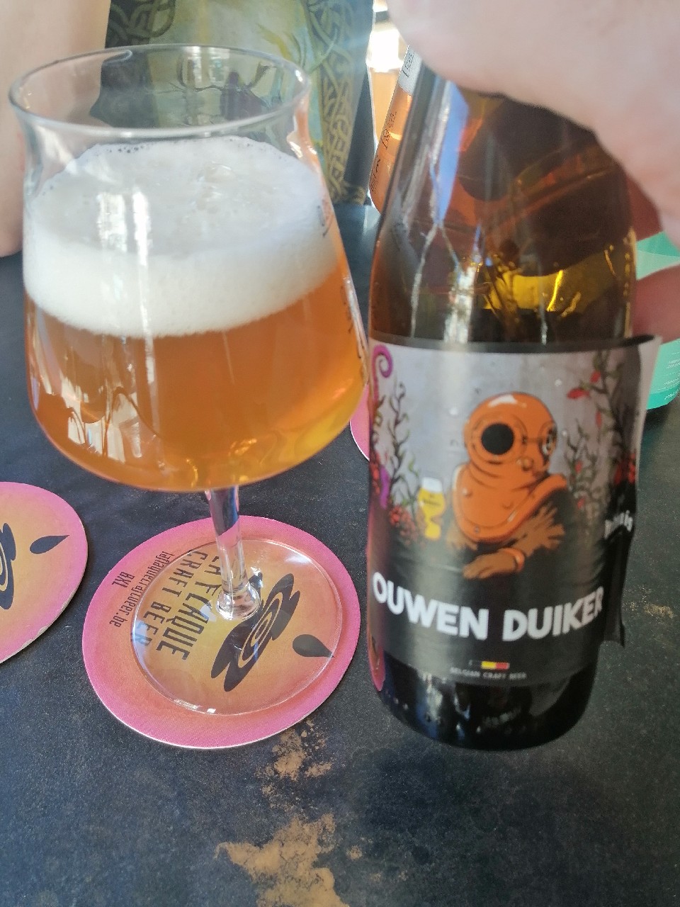 Ouwen duiker, Belgium