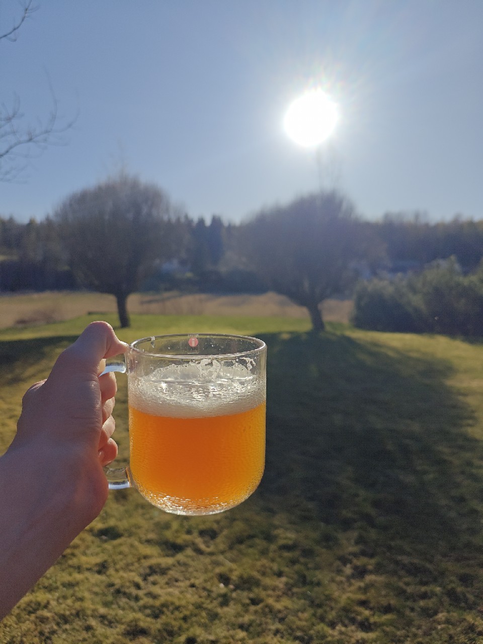 Jesus Lizard Passion IPA, Finland