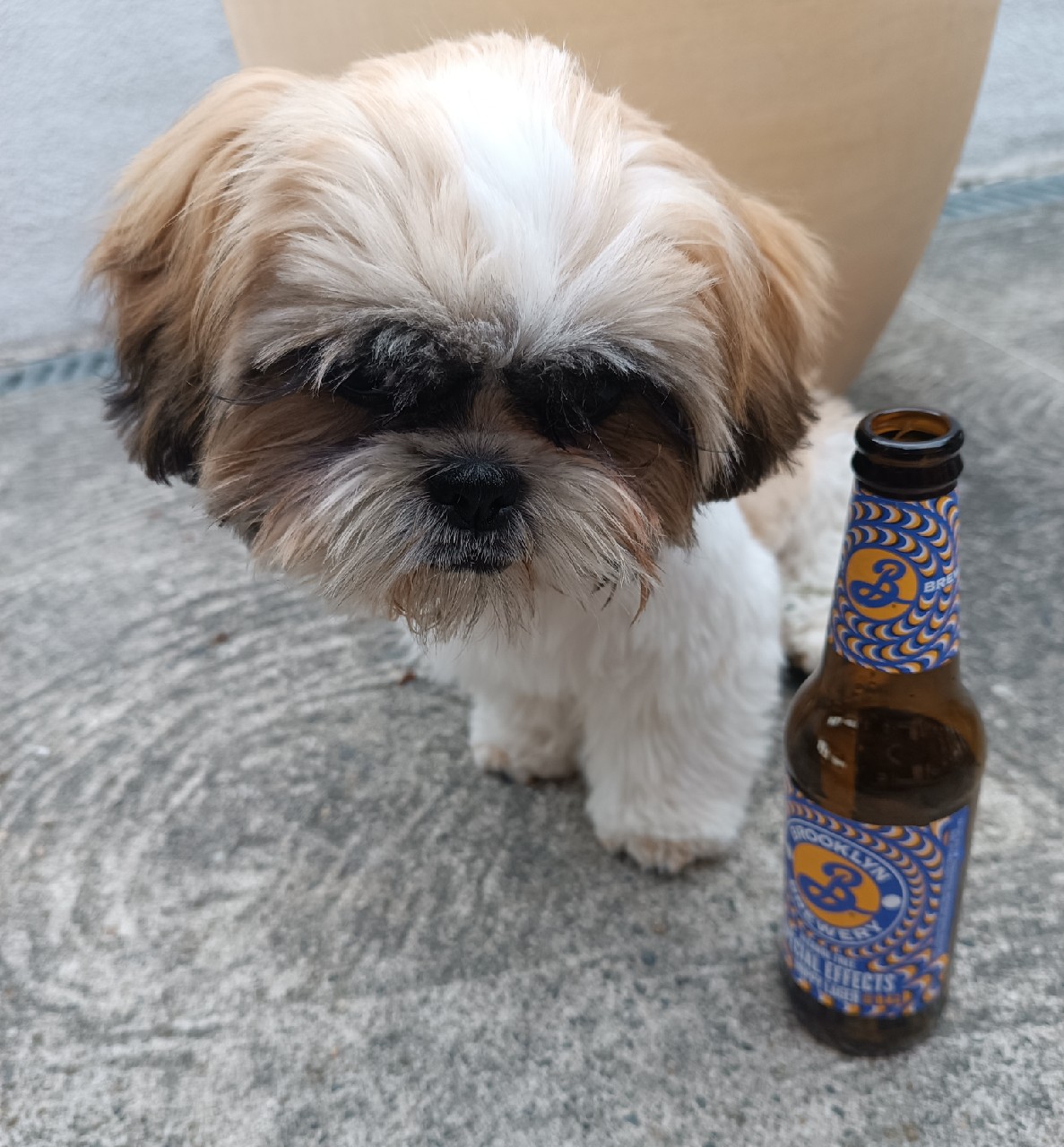 Special Effects Hoppy Lager, United States