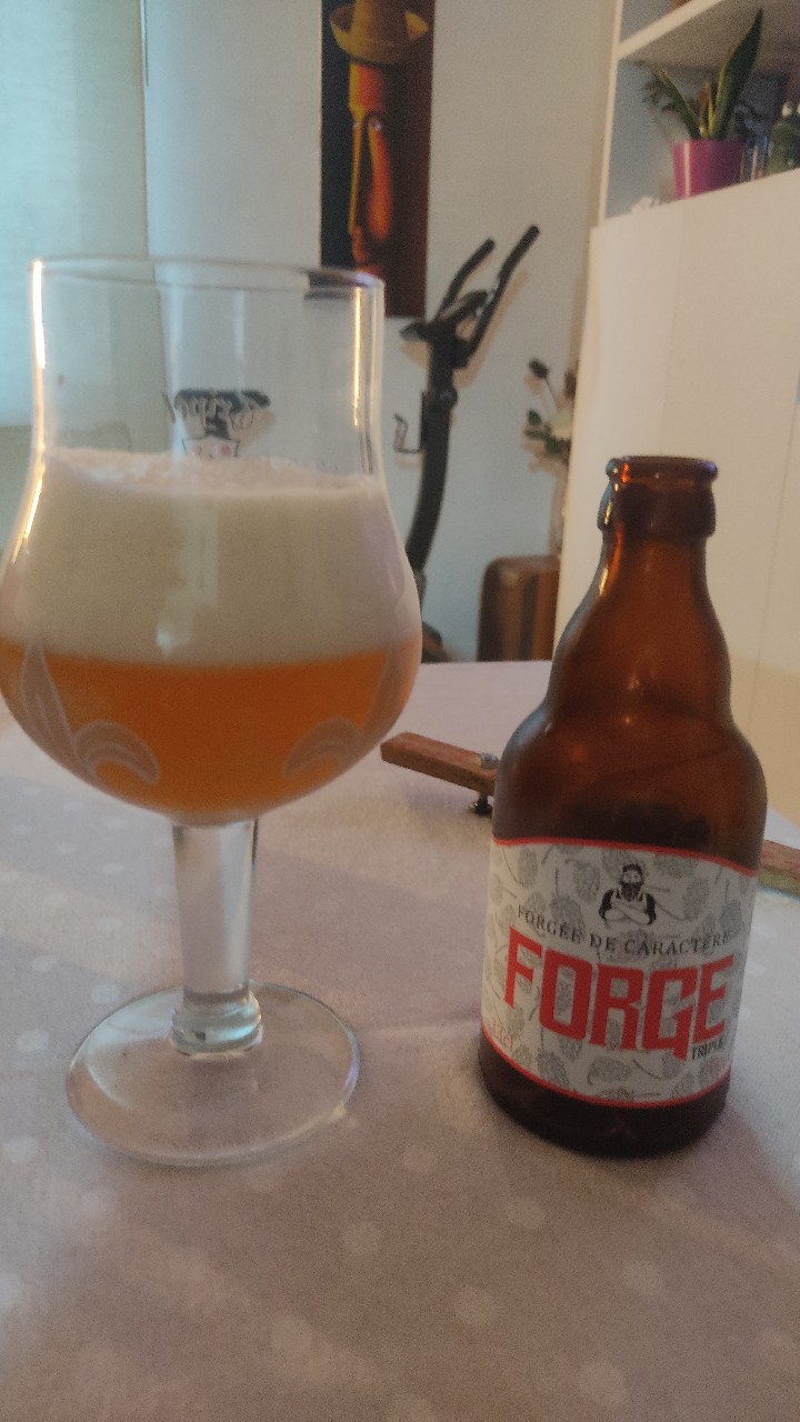 Forge Tripel, Belgium
