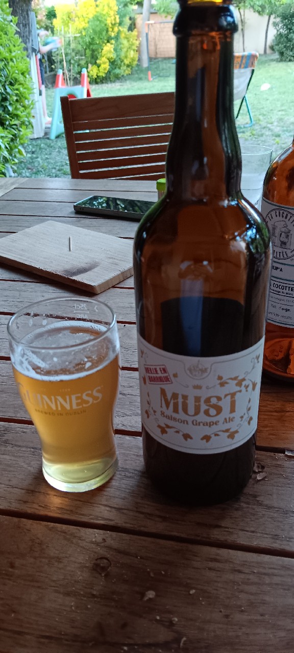 Must Saison Grape Ale, France