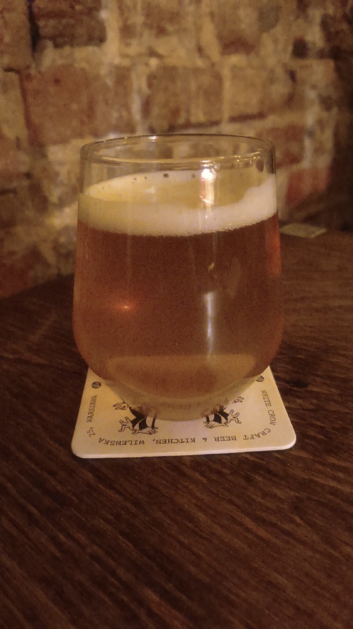 Bad Doink, Gamma Brewing Company