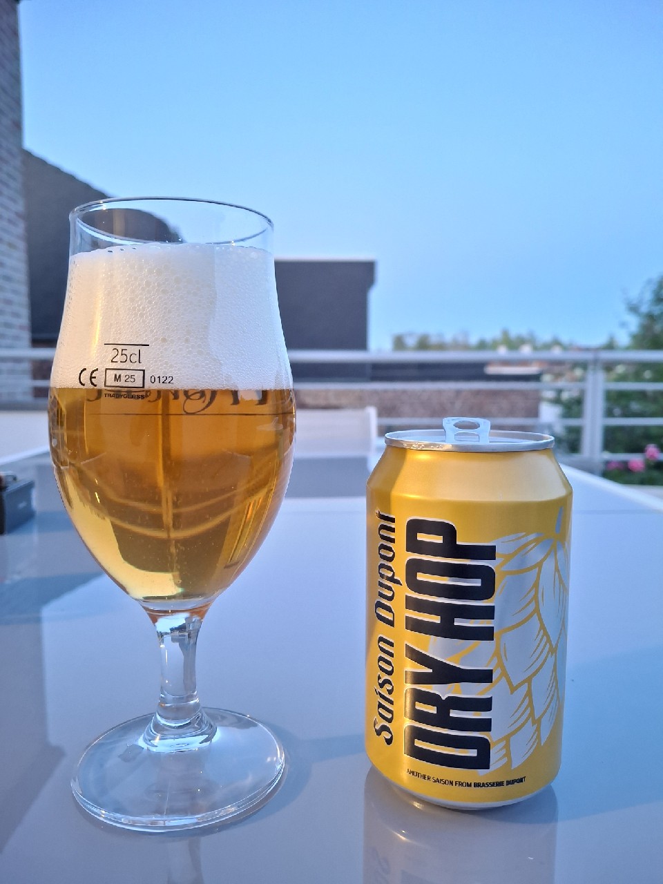 Saison Dupont Dry Hop (2024), Belgium